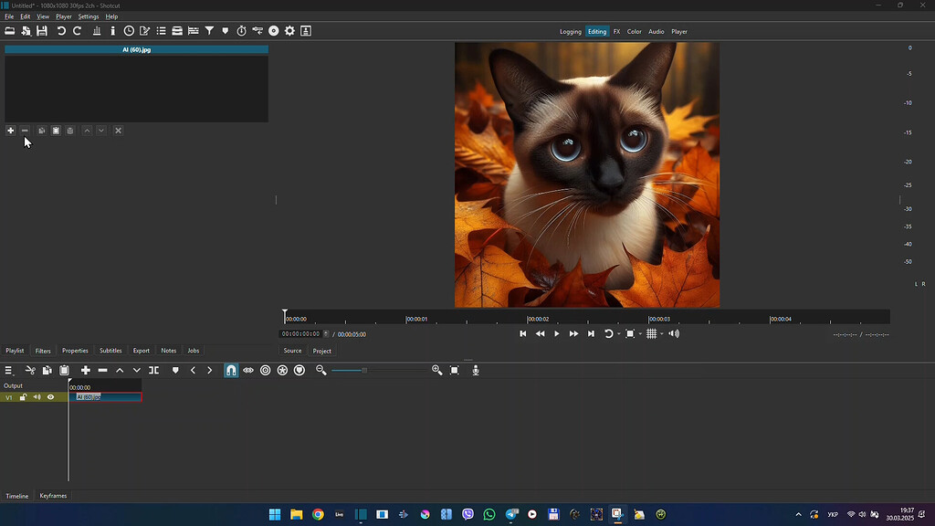 360: CapTop filter Crash - Bug - Shotcut Forum