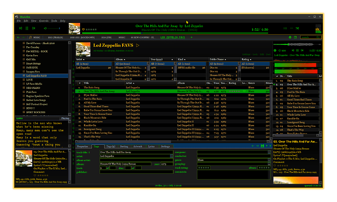musicbee skin