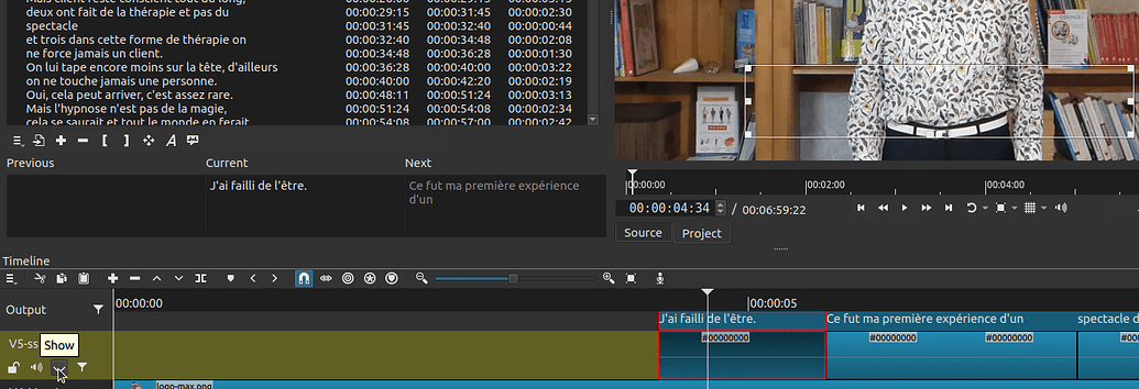View > Subtitles - Documentation - English - Shotcut Forum