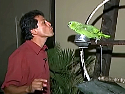 Alejandro Rueda venga venga TVmejenga